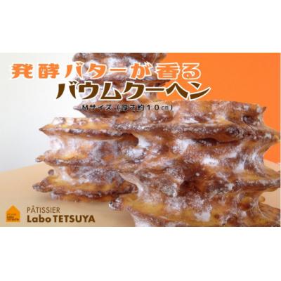 ふるさと納税 春日井市 パティシエ・ラボ・テツヤ特製 バウムクーヘン・TSUMI-KI(ハード)M