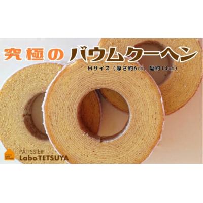ふるさと納税 春日井市 パティシエ・ラボ・テツヤ特製 バウムクーヘン・TSUMI-KI(ソフト)M