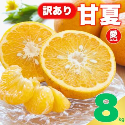 ふるさと納税 愛南町 先行受付 訳あり 甘夏 8kg サイズ ミックス 家庭用 愛媛県 愛南町 愛なんよ