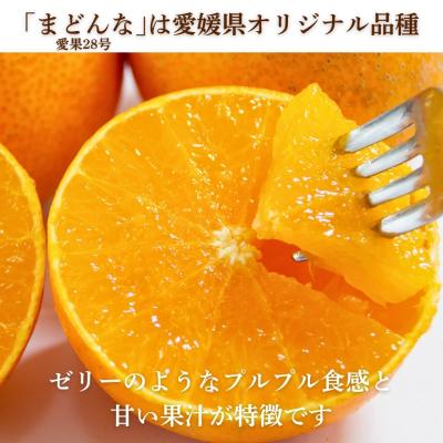ふるさと納税 愛南町 訳あり まどんな 3kg マドンナ みかん 愛果28号