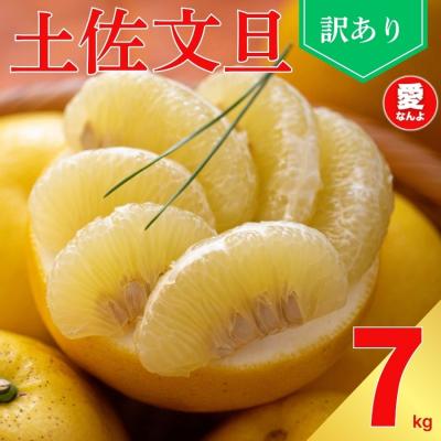 ふるさと納税 愛南町 先行受付 訳あり 土佐 文旦 7kg サイズ ミックス 家庭用 愛媛県 愛南町 愛なんよ