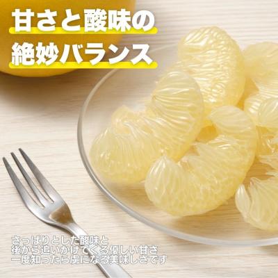 ふるさと納税 愛南町 先行受付 訳あり 土佐 文旦 7kg サイズ ミックス 家庭用 愛媛県 愛南町 愛なんよ |  | 02