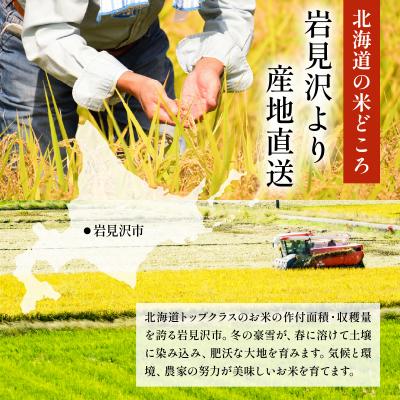 ふるさと納税 岩見沢市 令和7年産 岩見沢産 ななつぼし 10kg (5kg×2