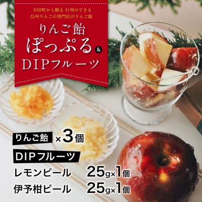 ふるさと納税 幸田町 信州りんごの専門店のりんご飴『ぽっぷる』 ( 3個 ) &amp;DIPフルーツ ( 2種類×各1個 )