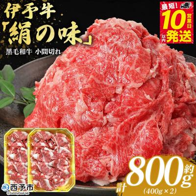 ふるさと納税 西予市 &lt;伊予牛「絹の味」黒毛和牛 小間切れ 約800g&gt; 選べる お肉 牛肉 精肉 国産 和牛 ブランド