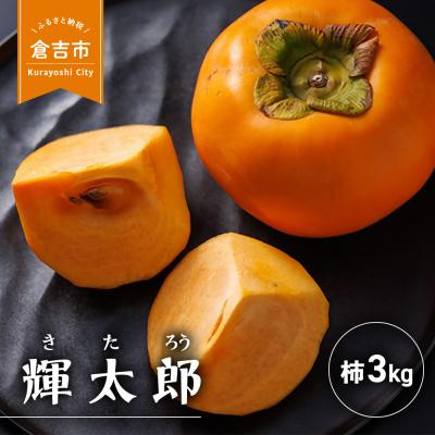 ふるさと納税 倉吉市 早生甘柿 輝太郎(きたろう) 3kg 柿 果物 フルーツ 期間限定 数量限定