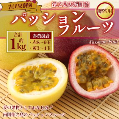 ふるさと納税 天城町 [2026年発送]徳之島 天城町 吉川果樹園 赤黄混合 贈答用 パッションフルーツ 約1kg