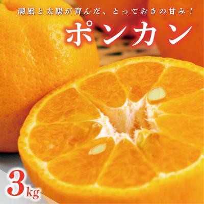 ふるさと納税 愛南町 数量限定 先行受付 ポンカン 3kg 岡平農園 愛南町 愛媛県