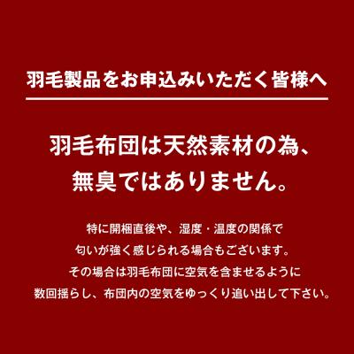 ふるさと納税 淡路市 1.3kg イングランドダウン93% 二層式 羽毛布団 SL(テンセルリリBL)　ao12028_3