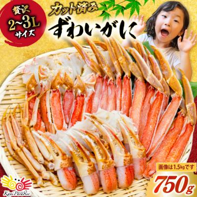 ふるさと納税 気仙沼市 カット済 生 ずわいがに むき身 750g (正味重量600g) 2-3L 