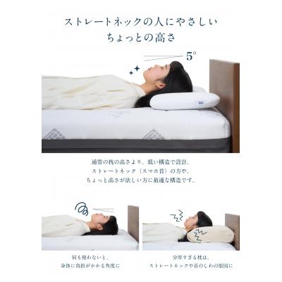ふるさと納税 幸田町 エアウィーヴ ピロースリム “みな実のまくら” 枕 寝具 低め |  | 02