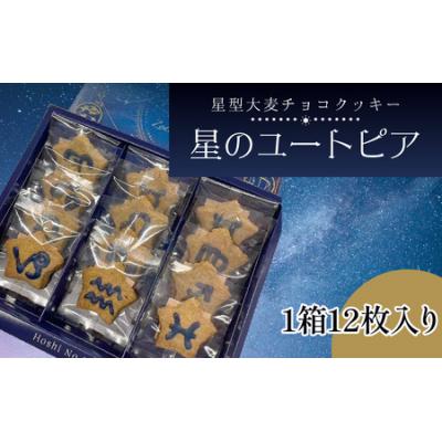 ふるさと納税 大野市 星のユートピア(大麦チョコクッキー)