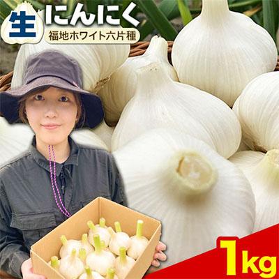 ふるさと納税 当別町 [令和8年発送先行受付]生にんにく(福地ホワイト六片種)1kg