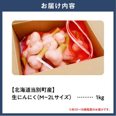 ふるさと納税 当別町 【令和9年度先行受付】生にんにく(福地ホワイト六