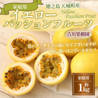 ふるさと納税 天城町 [2026年発送]徳之島 天城町 吉川果樹園 家庭用 イエロー パッション フルーツ 約1kg