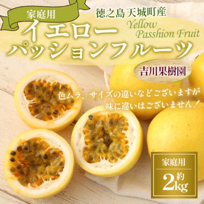ふるさと納税 天城町 [2026年発送]徳之島 天城町 吉川果樹園 家庭用 イエロー パッション フルーツ 約2kg
