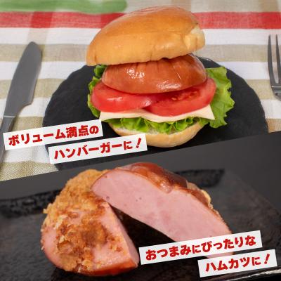 ふるさと納税 下関市 【数量限定】 訳あり ロースハム ヘタ ブロック 2kg 1kg × 2個 IR022-x |  | 02