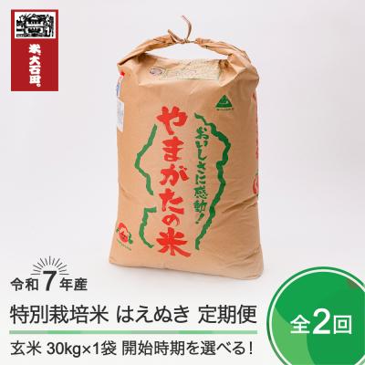 ふるさと納税 大石田町 米 [玄米2回定期便 4月・7月発送] はえぬき 30kg×2回 令和7年産 山形県