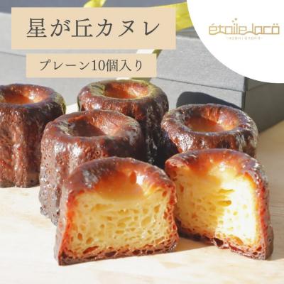 ふるさと納税 名古屋市 [星が丘カヌレ プレーン10個入り]フランスの焼き菓子