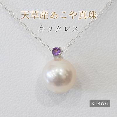 ふるさと納税 天草市 真珠 ネックレス 8-8.5mm ホワイトピンク 2月 アメシスト K18WG