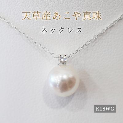 ふるさと納税 天草市 真珠 ネックレス 8-8.5mm ホワイトピンク 6月 ムーンストーン K18WG