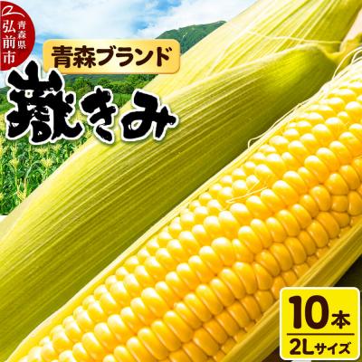 ふるさと納税 弘前市 とうもろこし 青森県弘前市産 嶽きみ(だけきみ)2Lサイズ 10本|24_bny-061001
