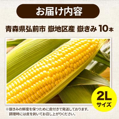 ふるさと納税 弘前市 とうもろこし 青森県弘前市産 嶽きみ(だけきみ)2L
