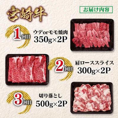 ふるさと納税 西都市 【定期便】宮崎牛6回定期便 小分け A4〜A5等級 内閣総理大臣賞4連覇ya[2950] |  | 01