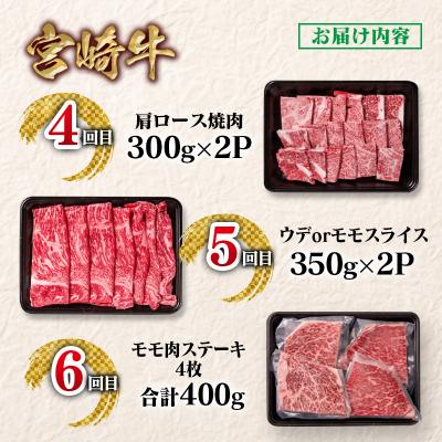 ふるさと納税 西都市 【定期便】宮崎牛6回定期便 小分け A4〜A5等級 内閣総理大臣賞4連覇ya[2950] |  | 02