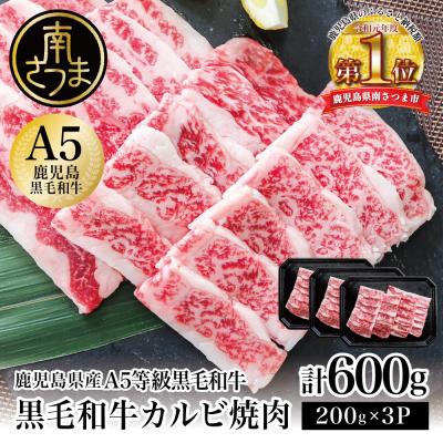 ふるさと納税 南さつま市 [鹿児島県産]A5等級黒毛和牛 カルビ焼肉 計600g(200g×3P)
