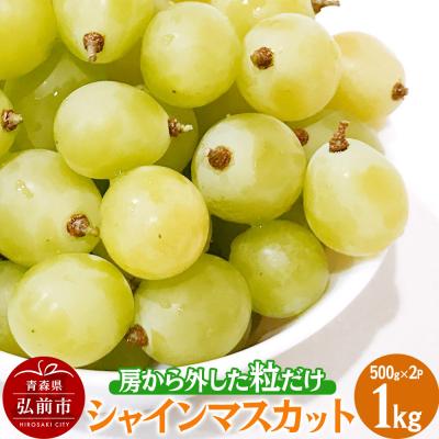 ふるさと納税 弘前市 [訳あり] 房から外した粒だけシャインマスカット1kg ぶどう|24_tvf-030101