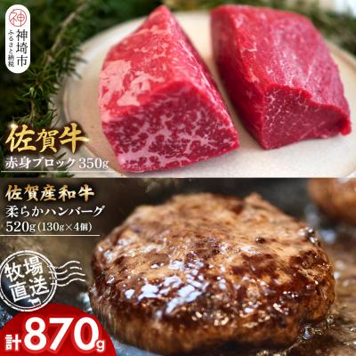 ふるさと納税 神埼市 佐賀牛 赤身ブロック350g・柔らかハンバーグ4個(H122106)