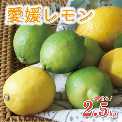ふるさと納税 愛南町 数量限定 先行受付 レモン 2.5kg あいなんマザーズ 愛南町 愛媛県