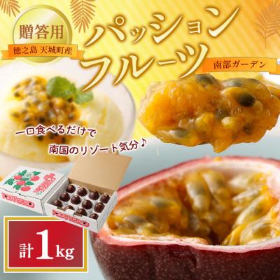 ふるさと納税 天城町 [2026年発送]先行受付 徳之島 天城町 南部ガーデン パッションフルーツ 贈答用 1kg