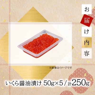 ふるさと納税 岩内町 いくら醤油漬け 250g(50g×5)【順次発送】045-a008の画像