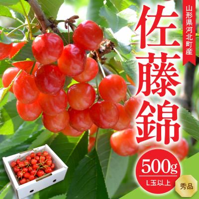 ふるさと納税 河北町 [令和8年産]さくらんぼ 佐藤錦 500g L玉以上 ギフト箱入 秀品 山形県 [山形eLab]