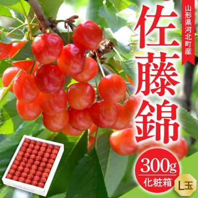 ふるさと納税 河北町 [令和8年産]さくらんぼ 佐藤錦 300g L玉 手詰め 特秀品 化粧箱入 山形県産 山形eLab