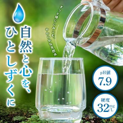 ふるさと納税 板倉町 水 《定期便5ヶ月》 ピュアの森 500ml 24本×1箱|13_vic-012405の画像