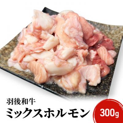 ふるさと納税 羽後町 羽後和牛 ミックスホルモン 300g