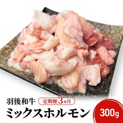 ふるさと納税 羽後町 [定期便3ヵ月]羽後和牛 ミックスホルモン 300g
