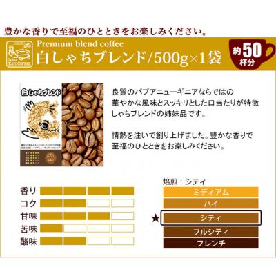 ふるさと納税 名古屋市 加藤珈琲店 しゃちブレンド 2種飲み比べ コーヒー 粉 (中挽き) 1kg (500g×2袋) |  | 02