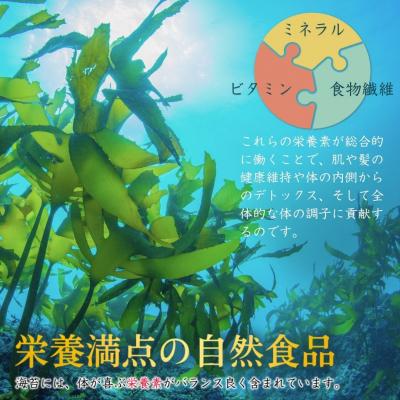 ふるさと納税 南相馬市 わさびのり 768枚 96袋(4袋×24個)|味付け海苔 大容量パック【53841-005-02】_2