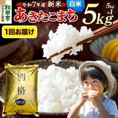 ふるさと納税 秋田市 [令和7年産新米] あきたこまち 5kg 白米|15_mge-010501h