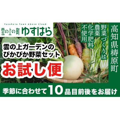 ふるさと納税 梼原町 農薬化学肥料不使用 雲の上ガーデンのぴかぴか野菜セット[お試し便]