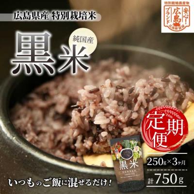ふるさと納税 三原市 [3か月定期便]広島県産 特別栽培 黒米 250g×1パック×3か月[227-003]
