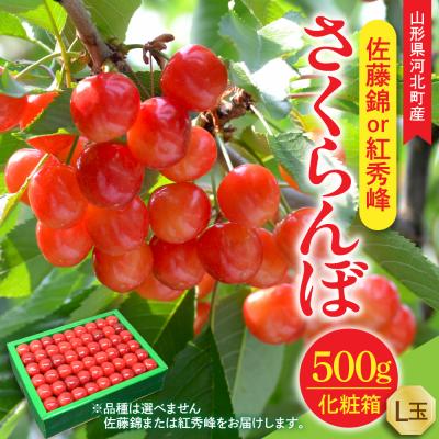 ふるさと納税 河北町 [令和8年産]さくらんぼ 佐藤錦or紅秀峰 500g L玉 手詰め 特秀品 化粧箱入 山形県河北町