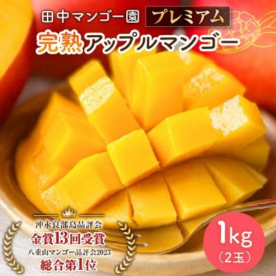 ふるさと納税 和泊町 [2026年先行予約]田中マンゴー園のプレミアム完熟アップルマンゴー 1キロ