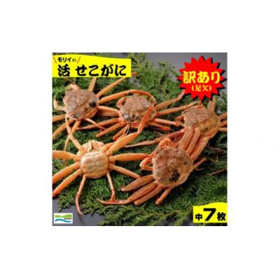 ふるさと納税 米子市 鳥取県産 訳あり(足欠け)活せこがに(中)(7枚) 松葉がに