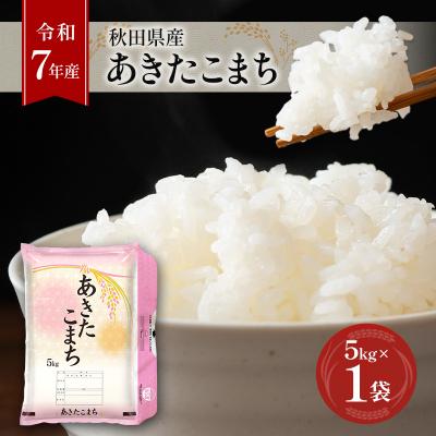 ふるさと納税 羽後町 [令和7年産]秋田県産あきたこまち 5kg×1袋