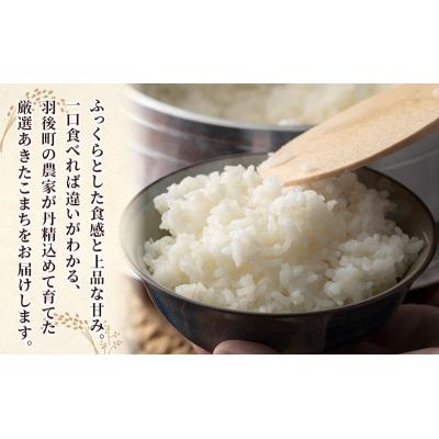 ふるさと納税 羽後町 【令和7年産】3回定期便 あきたこまち 10kg(5kg×2)[No.5325-0384] |  | 01